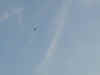 070703n.jpg (304609 octets)